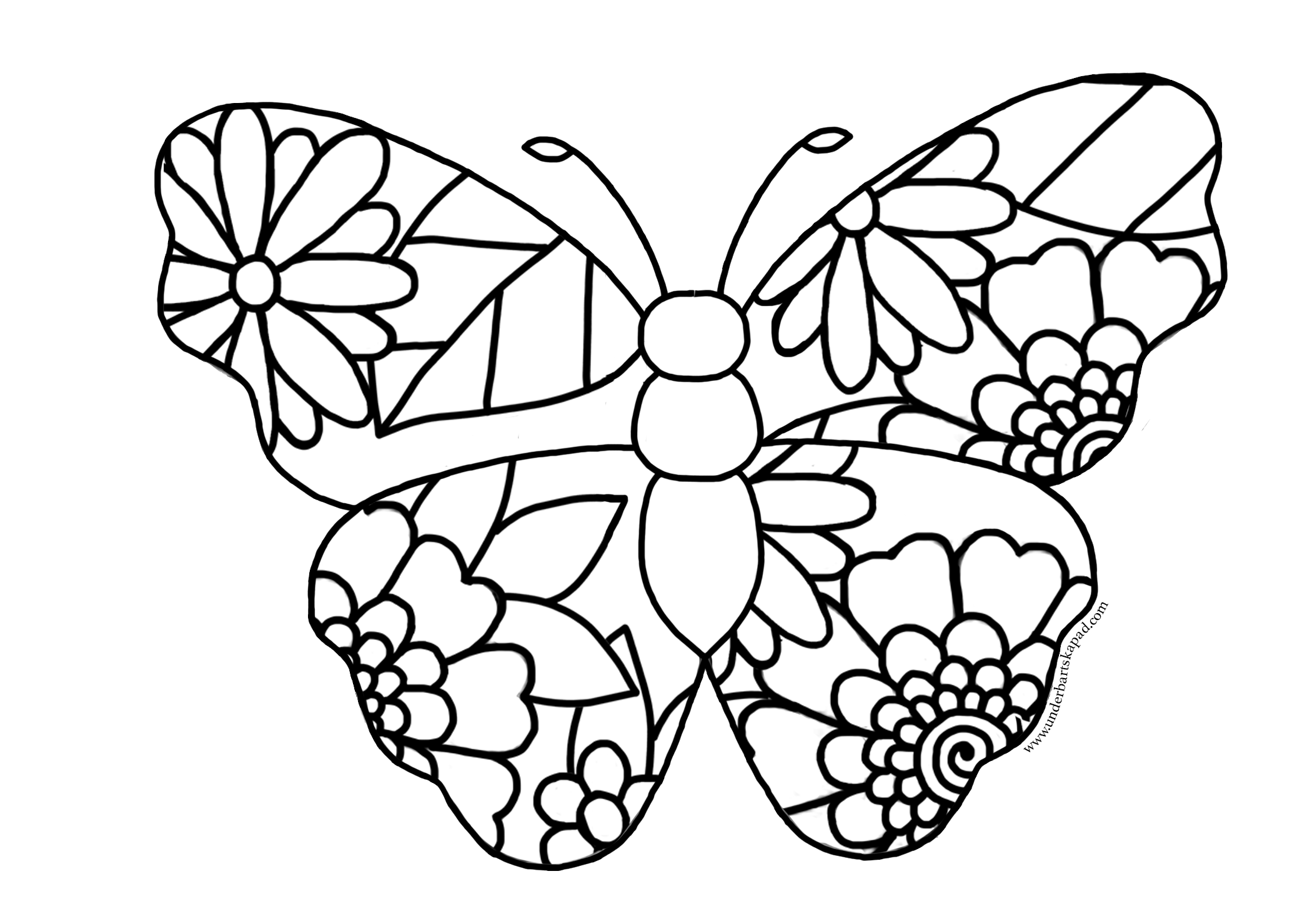 Butterfly and flower coloring pages