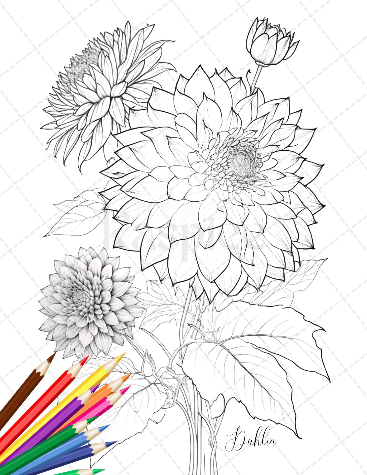 Botanical flowers printable coloring pages for adults floral grays â coloring