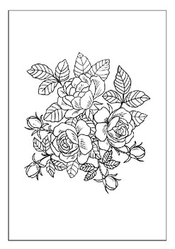 Turn your stress into art with our printable flower coloring pages for adults