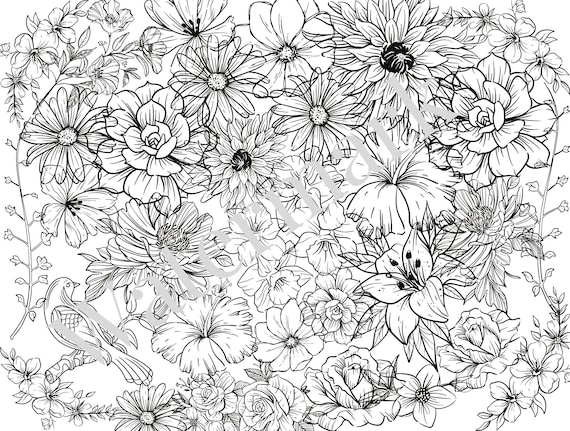 Printable floral coloring page adult coloring pages grayscale coloring printable floral coloring pages for kids and adults