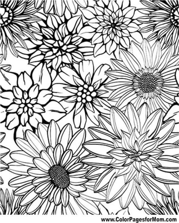Fantastic free colouring pages for adults printable flower coloring pages detailed coloring pages flower coloring sheets
