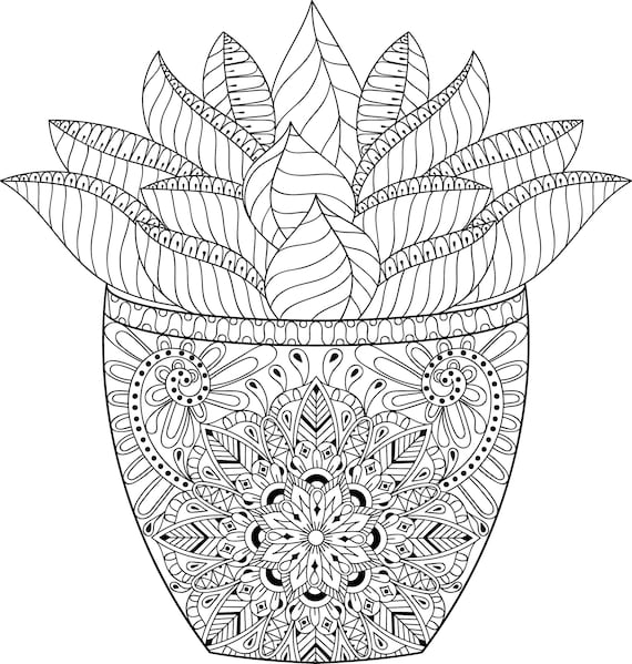 Flowerpot coloring pages for adults printable coloring page instant download pdf