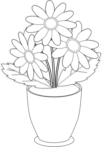 Chamomile flowers in pot coloring page free printable coloring pages