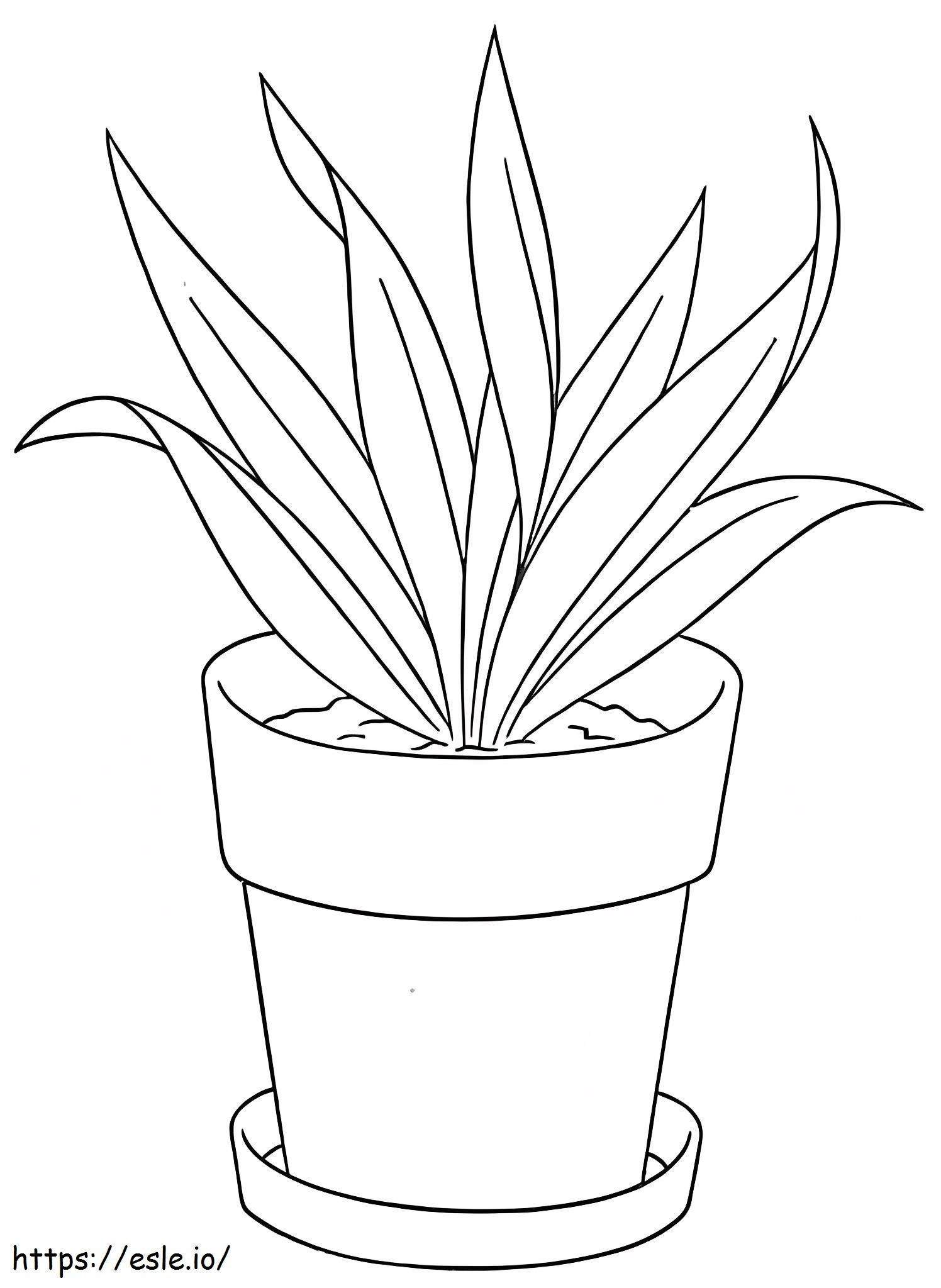 Printable flower pot coloring page