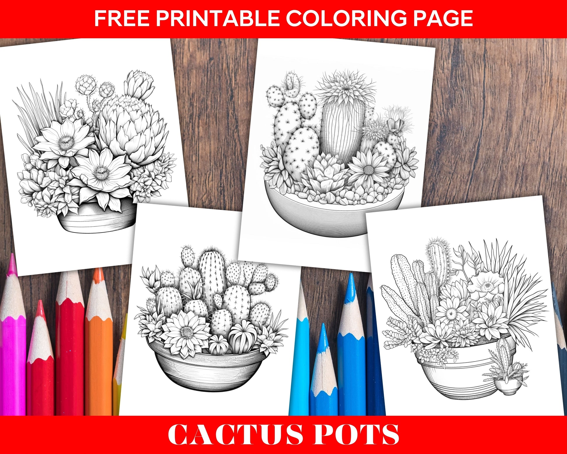 Free printable cactus pots coloring pages for adults grayscale colo â coloring