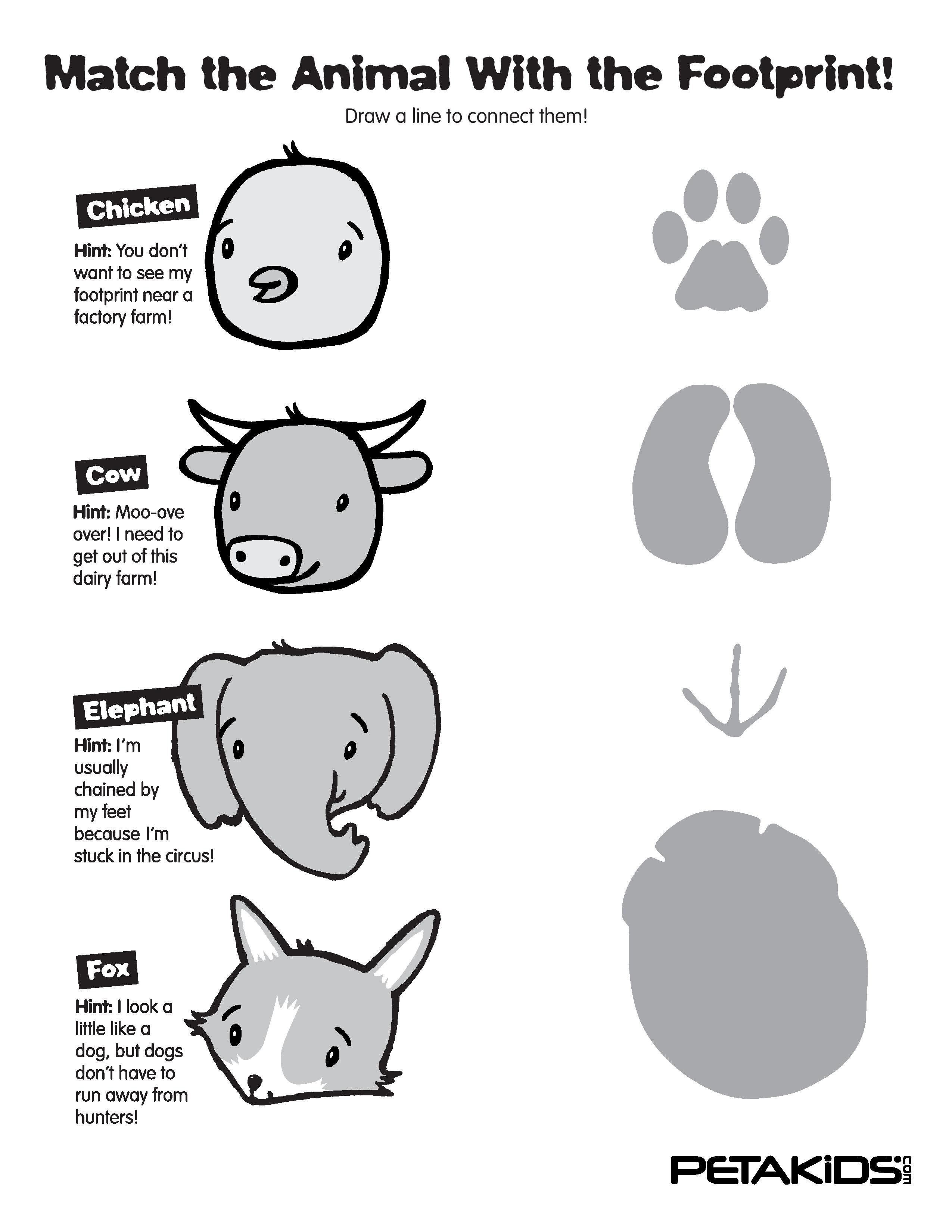 Animal footprints match them all peta kids