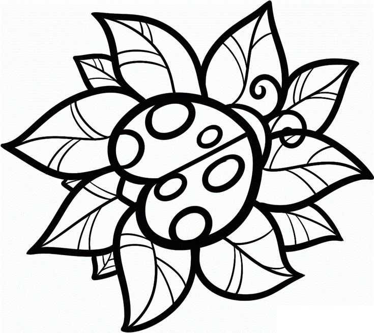 Free printable ladybug coloring pages for kids pãginas para colorir pãginas para colorir para adultos livro de colorir