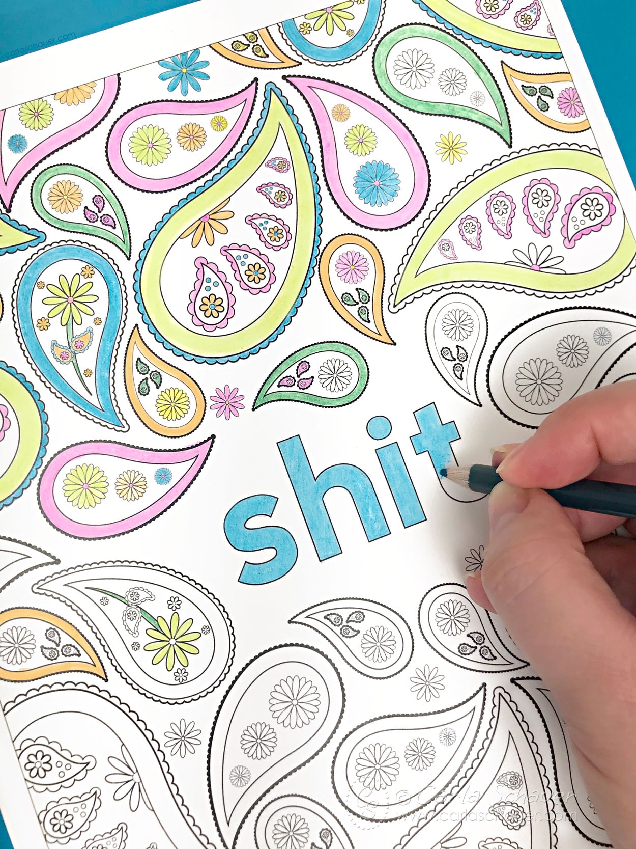 Sweary cuss word coloring page for adults