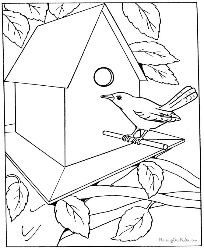 Birdhouse free coloring pages coloring books coloring book pages