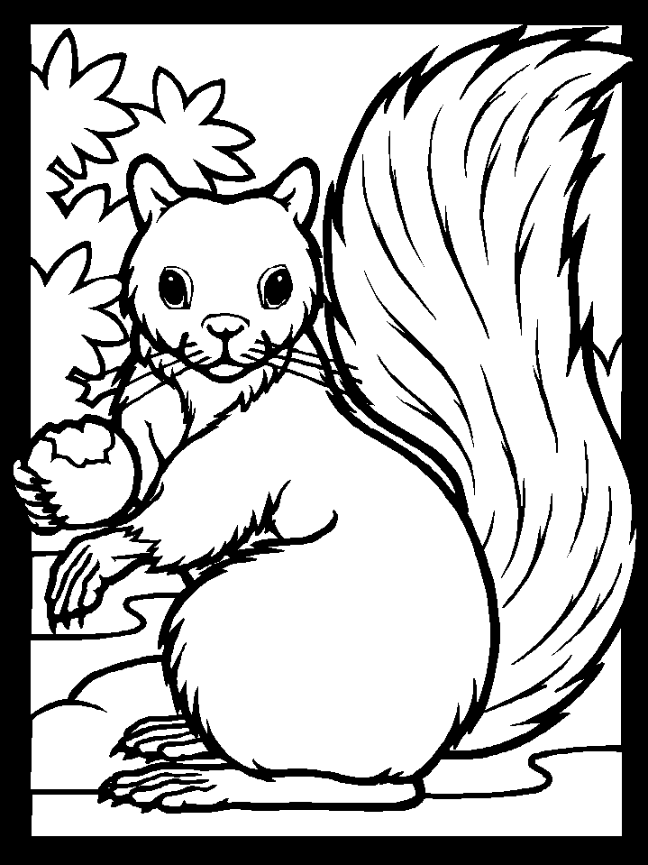 Squirrel coloring pages printable for free download