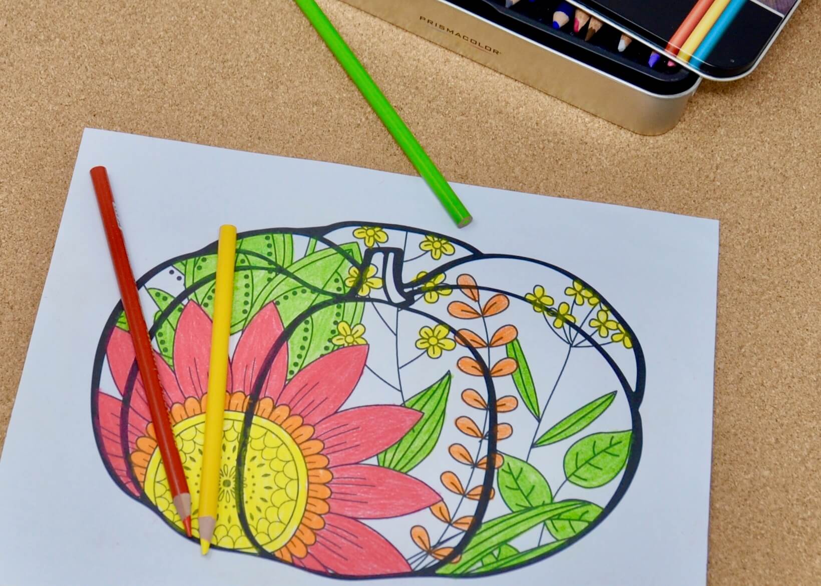 Easy fall coloring page for seniors