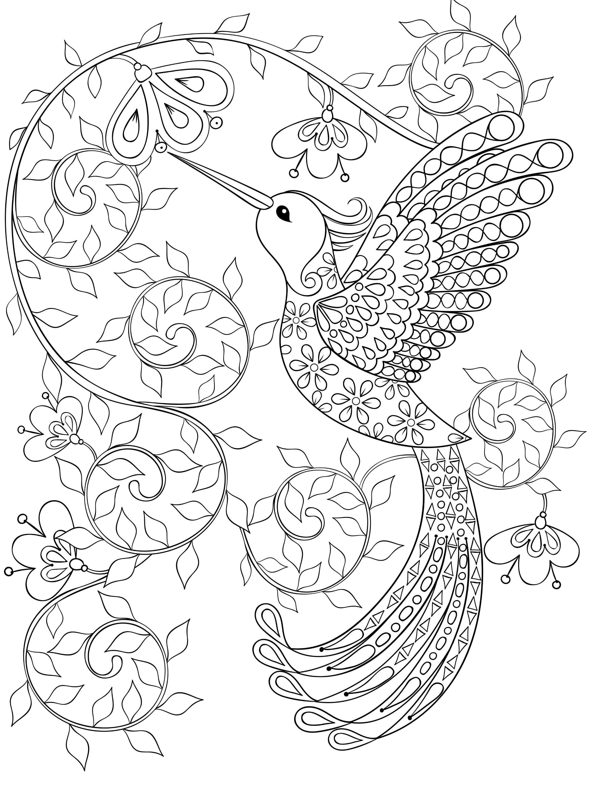Gorgeous free printable adult coloring pages bird coloring pages printable adult coloring pages free adult coloring pages