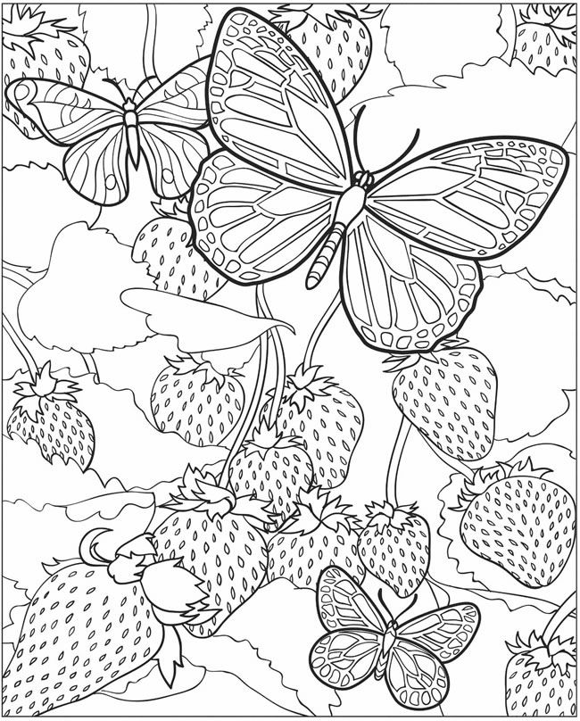 Butterfly coloring page detailed coloring pages free coloring pages