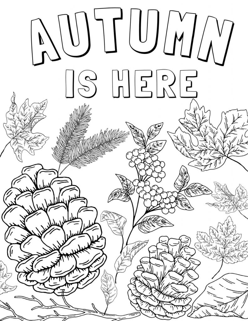 Fall and autumn free coloring pages