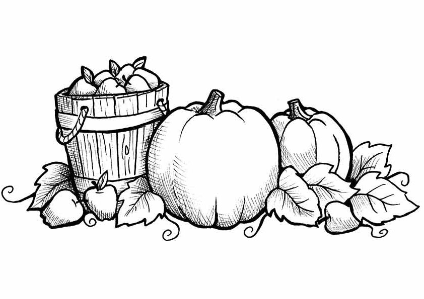 Coloring pages autumn coloring pages for fall or thanksgiving
