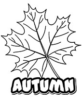 Autumn coloring pages fall