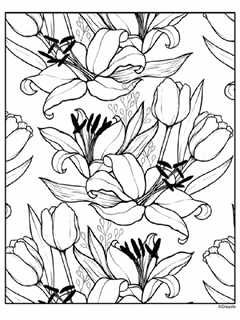 Adult coloring pages free coloring pages