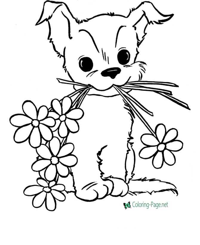 Flower coloring pages