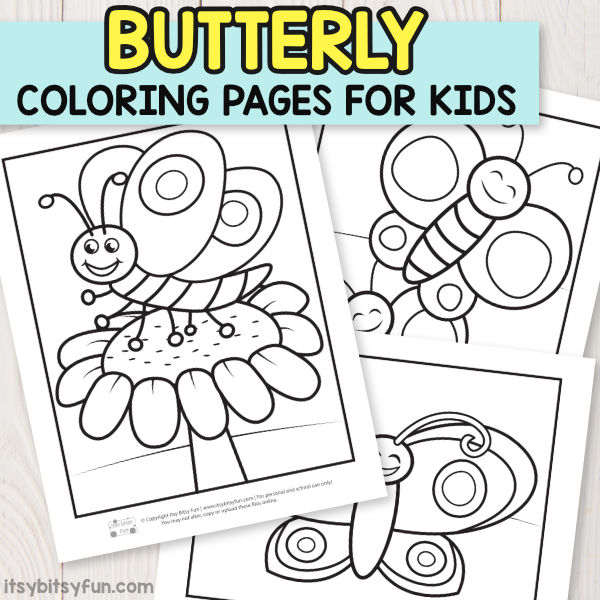 Butterfly coloring pages for kids