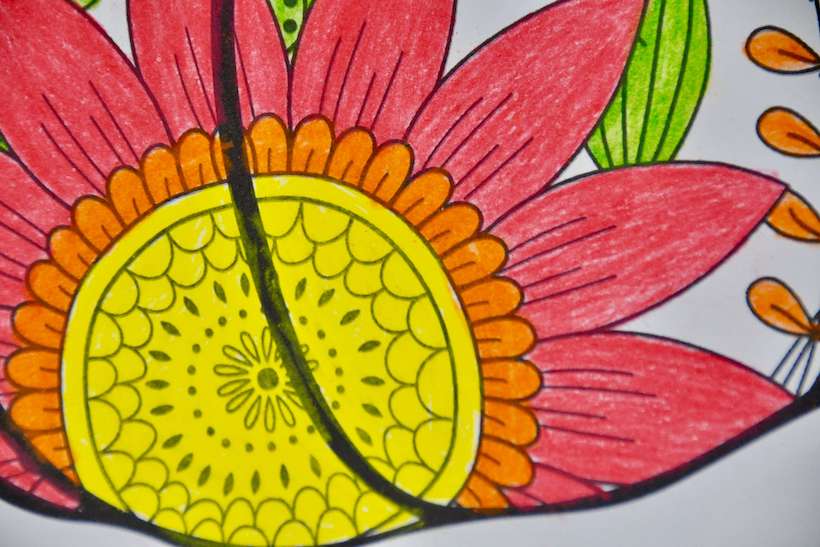 Easy fall coloring page for seniors