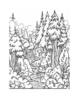 Forest coloring page tpt