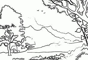 Forest coloring pages printable for free download