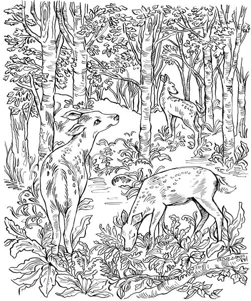 Gorgeous deer in forest coloring page