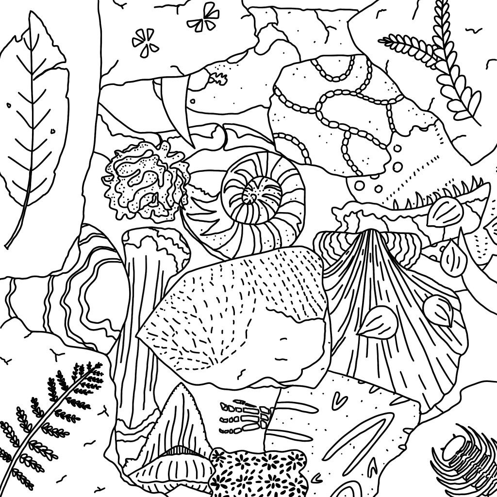 Fossil coloring book page by starcrossedpaper dinosaur coloring pages coloring pages detailed coloring pages