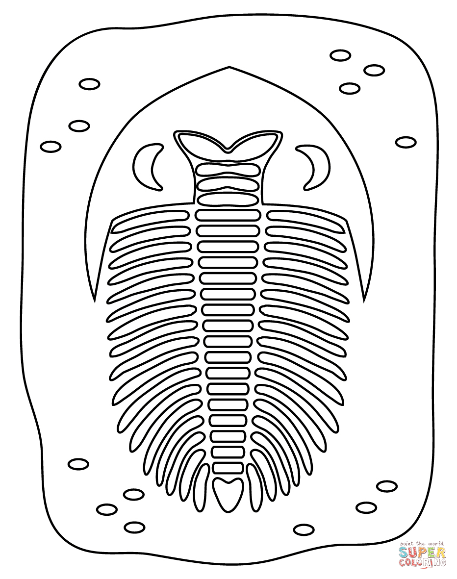 Trilobite fossil coloring page free printable coloring pages