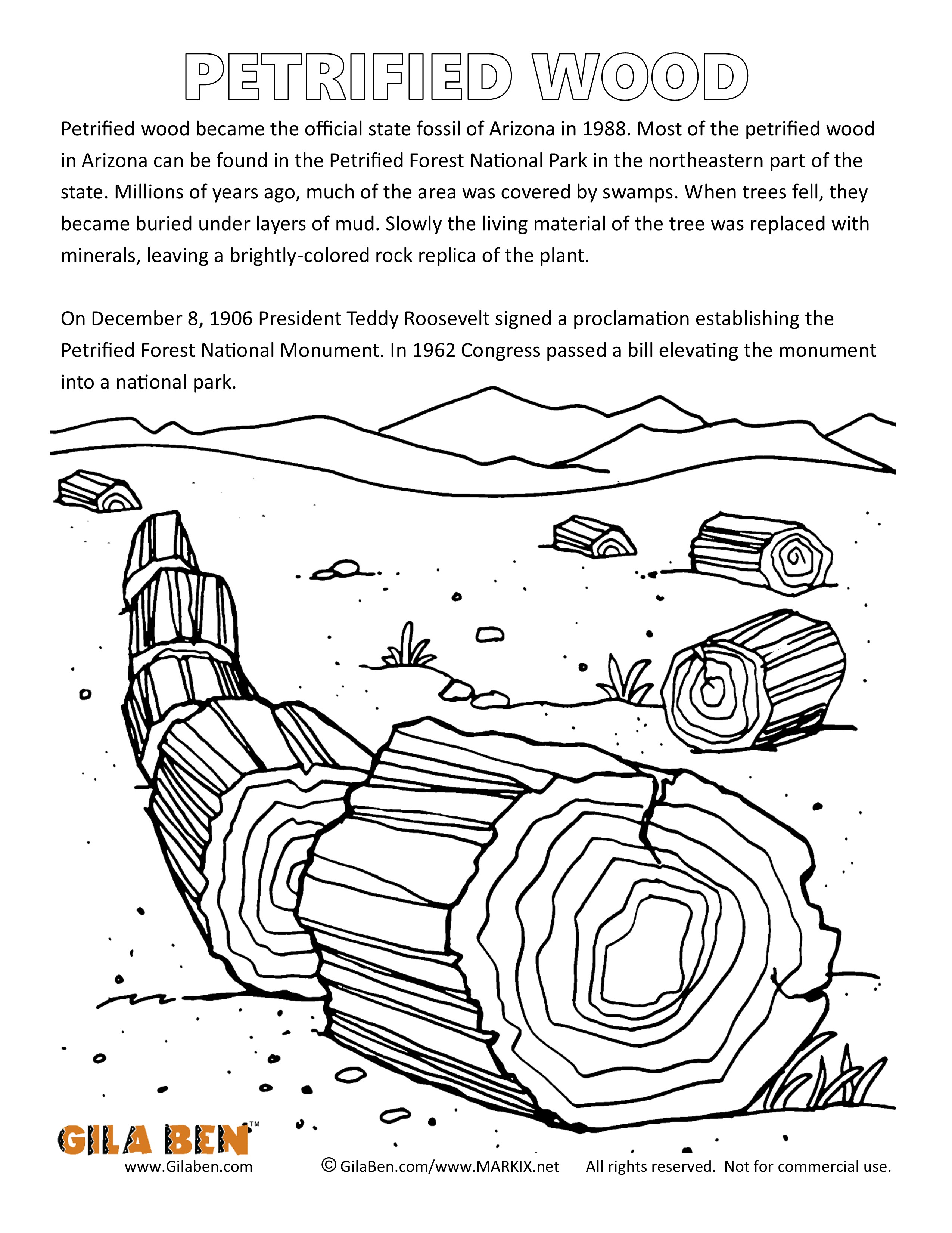 Arizona state fossil coloring page