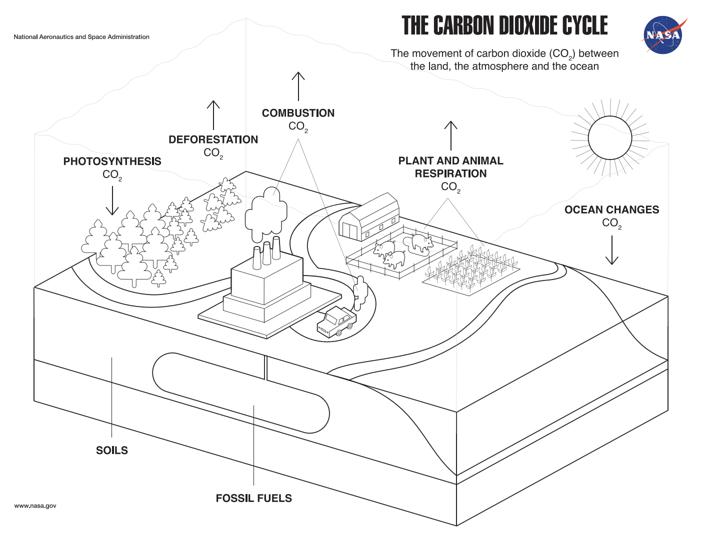 Coloring page the carbon dioxide cycle â change vital signs of the planet