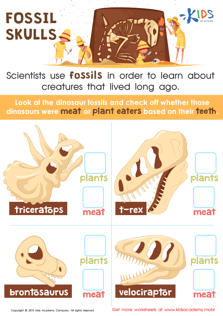 Fossil skulls worksheet for kids