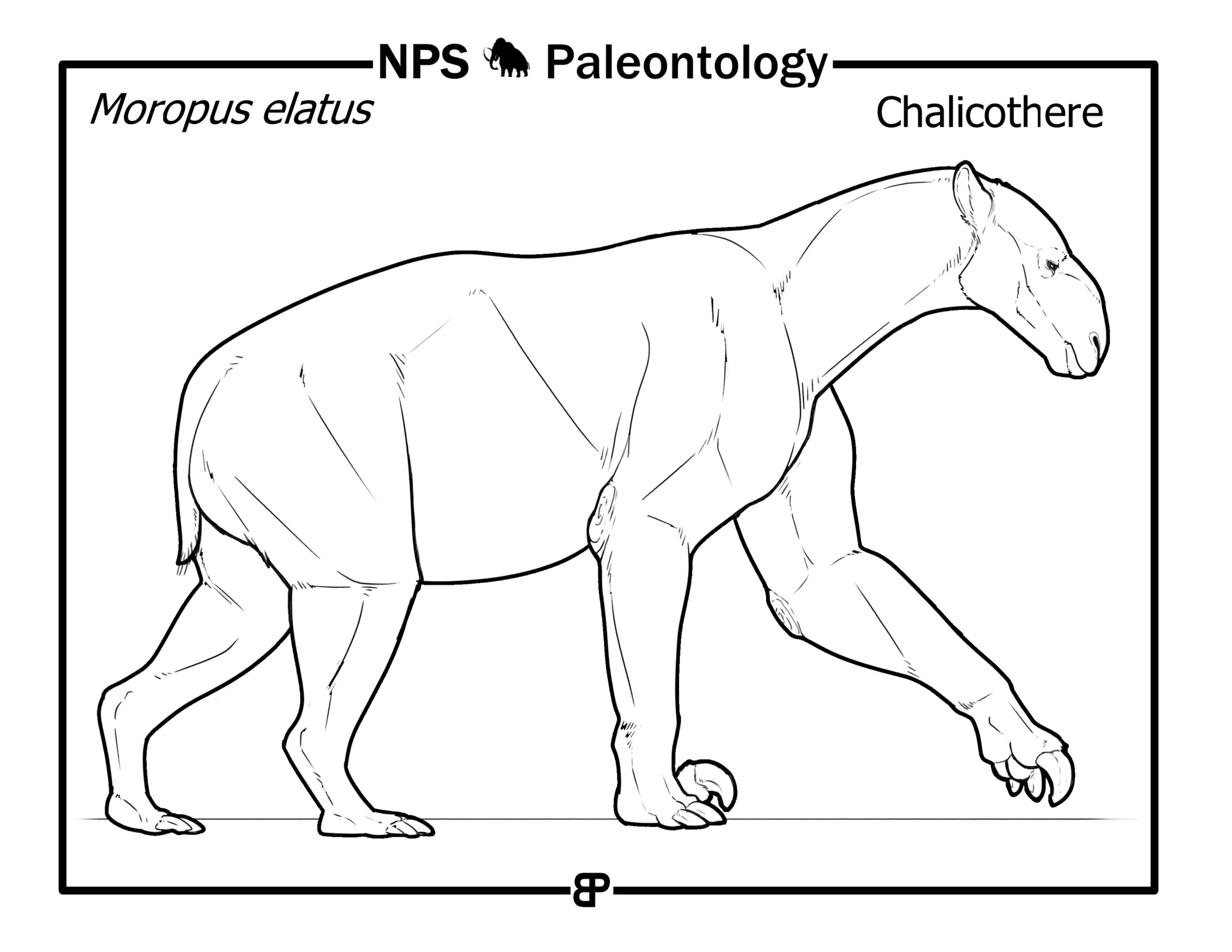 Prehistoric life coloring book