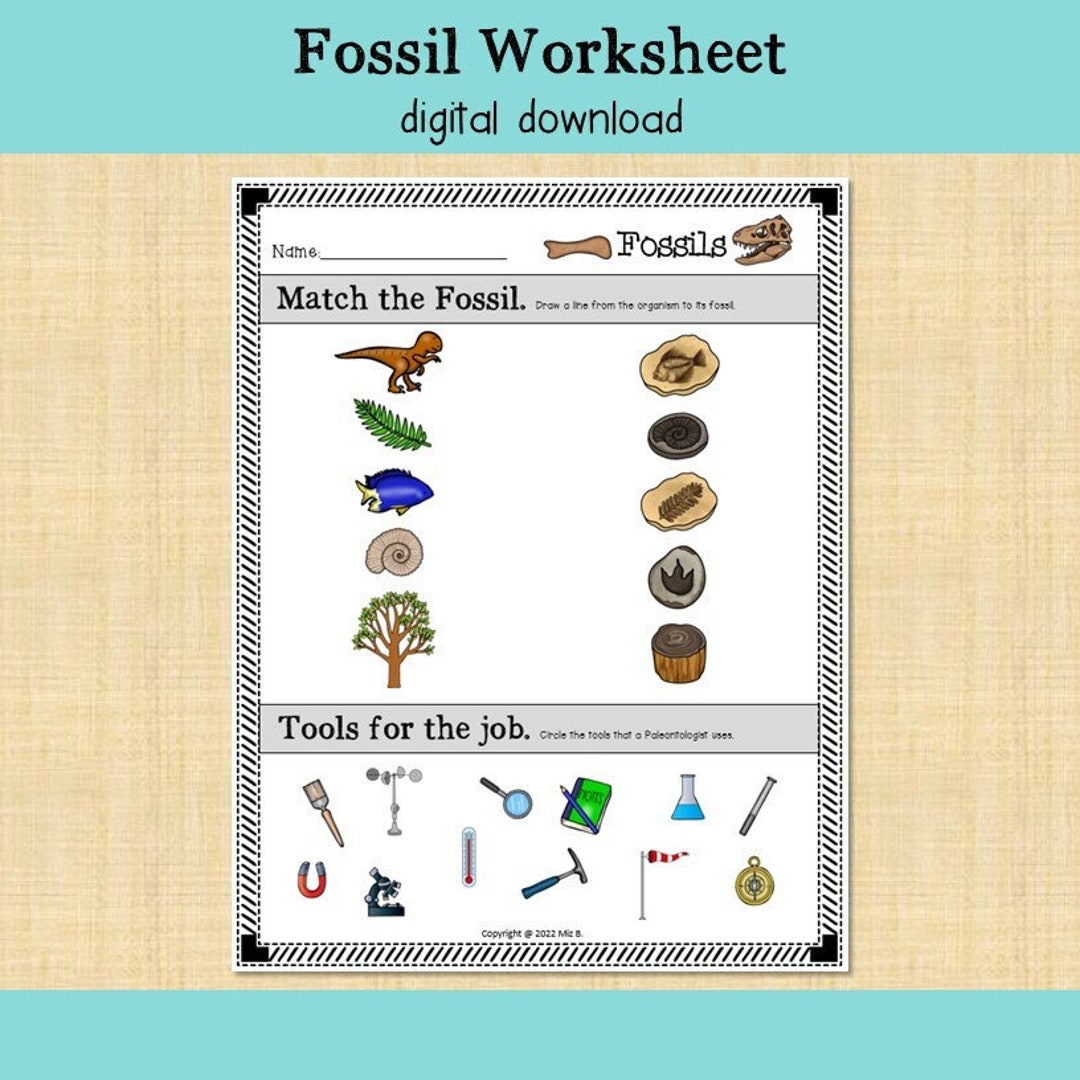 Fossils worksheet download now