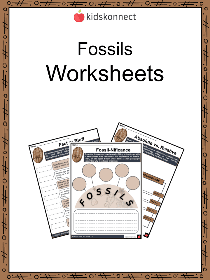 Fossil facts worksheets formation findings importance to science