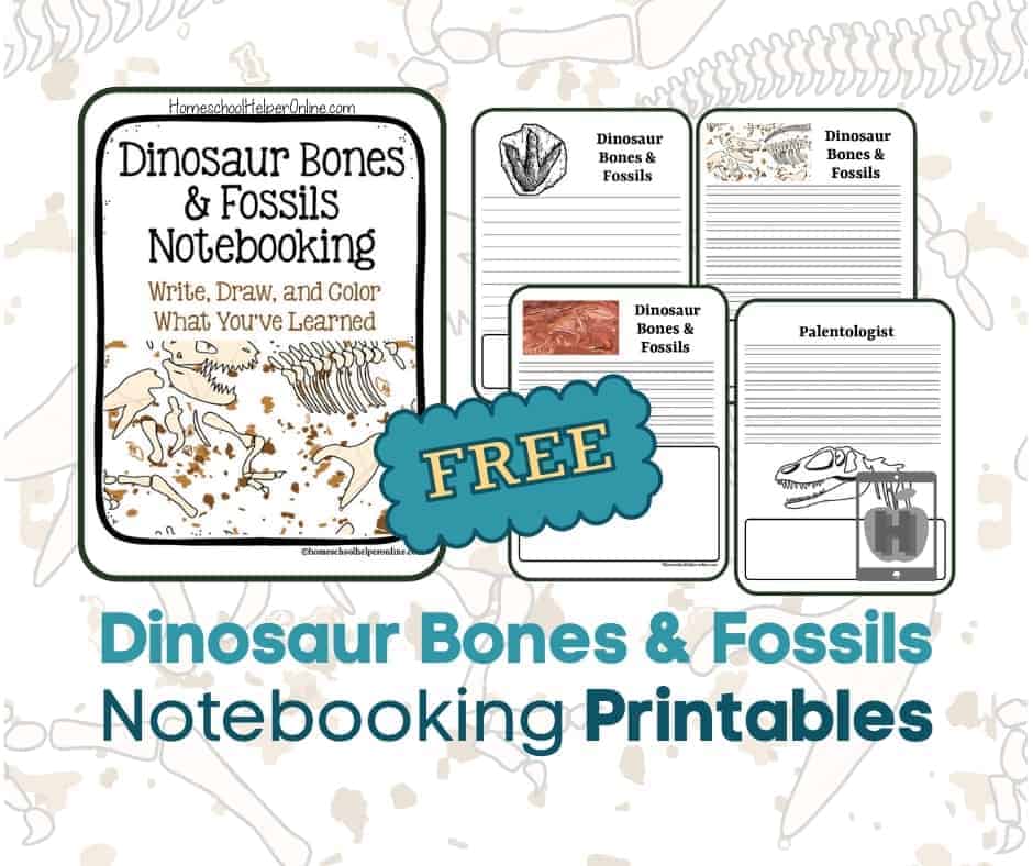 Dinosaur bones fossils notebooking pages for paleontology study