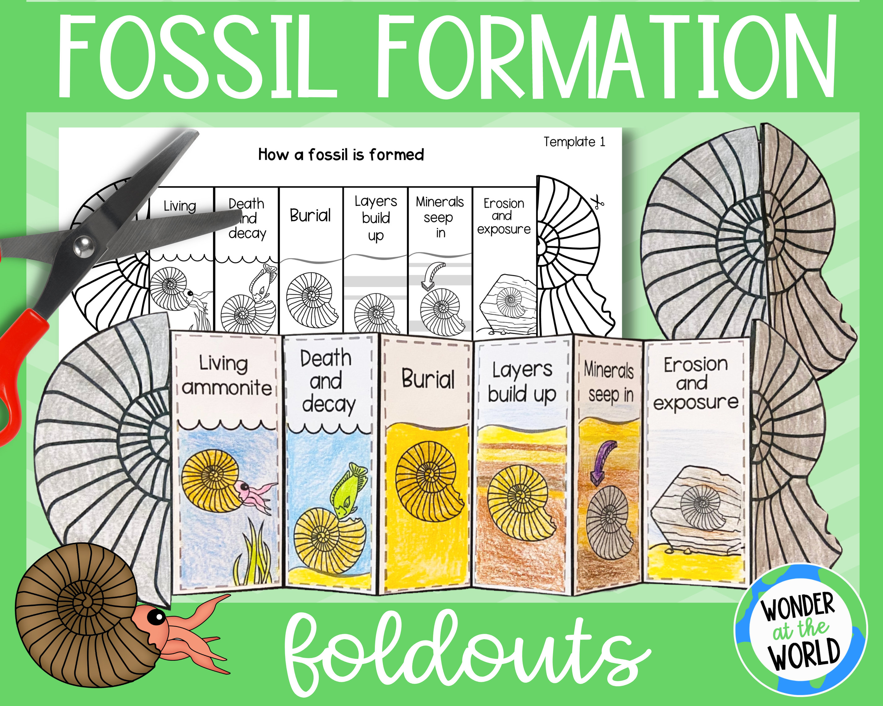 How a fossil is formed foldable activity for kids a and x inch digital download science cut and paste