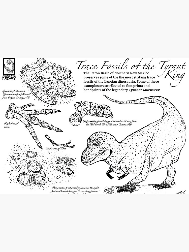 Trace fossils of the tyrant king art board print for sale by ammonitedreams