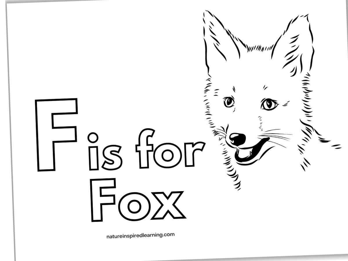 Realistic fox coloring pages