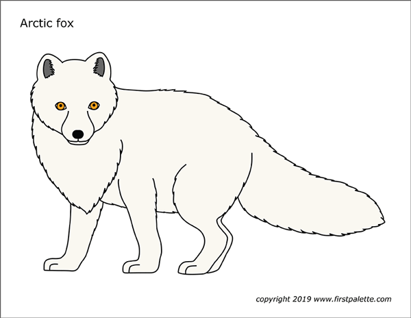 Arctic fox free printable templates coloring pages