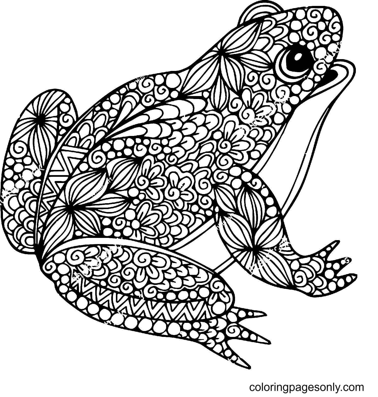 Frog coloring pages printable for free download