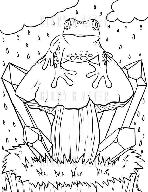 Frog mushroom coloring page printable coloring page instant download pdf adult magical cute fantasy mystical toad instant download