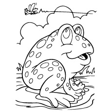 Delightful frog coloring pages for your little ones