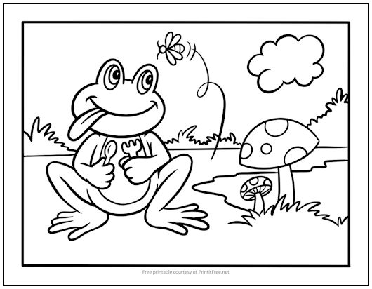 Frog having lunch coloring page print it free