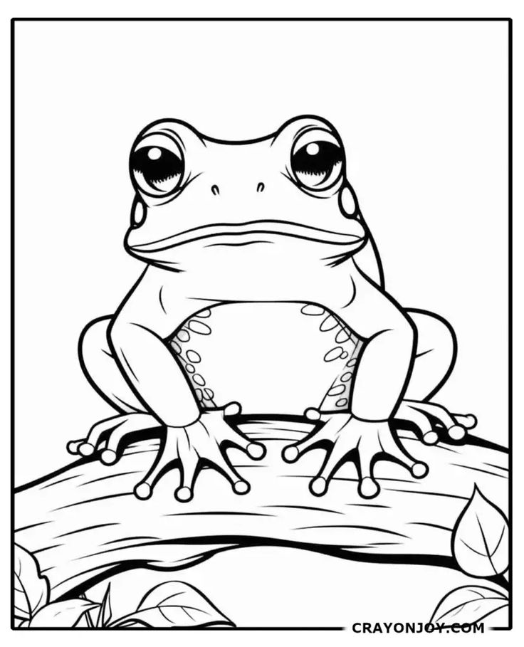 Free printable frog coloring pages frog coloring pages frog drawing adult coloring books printables