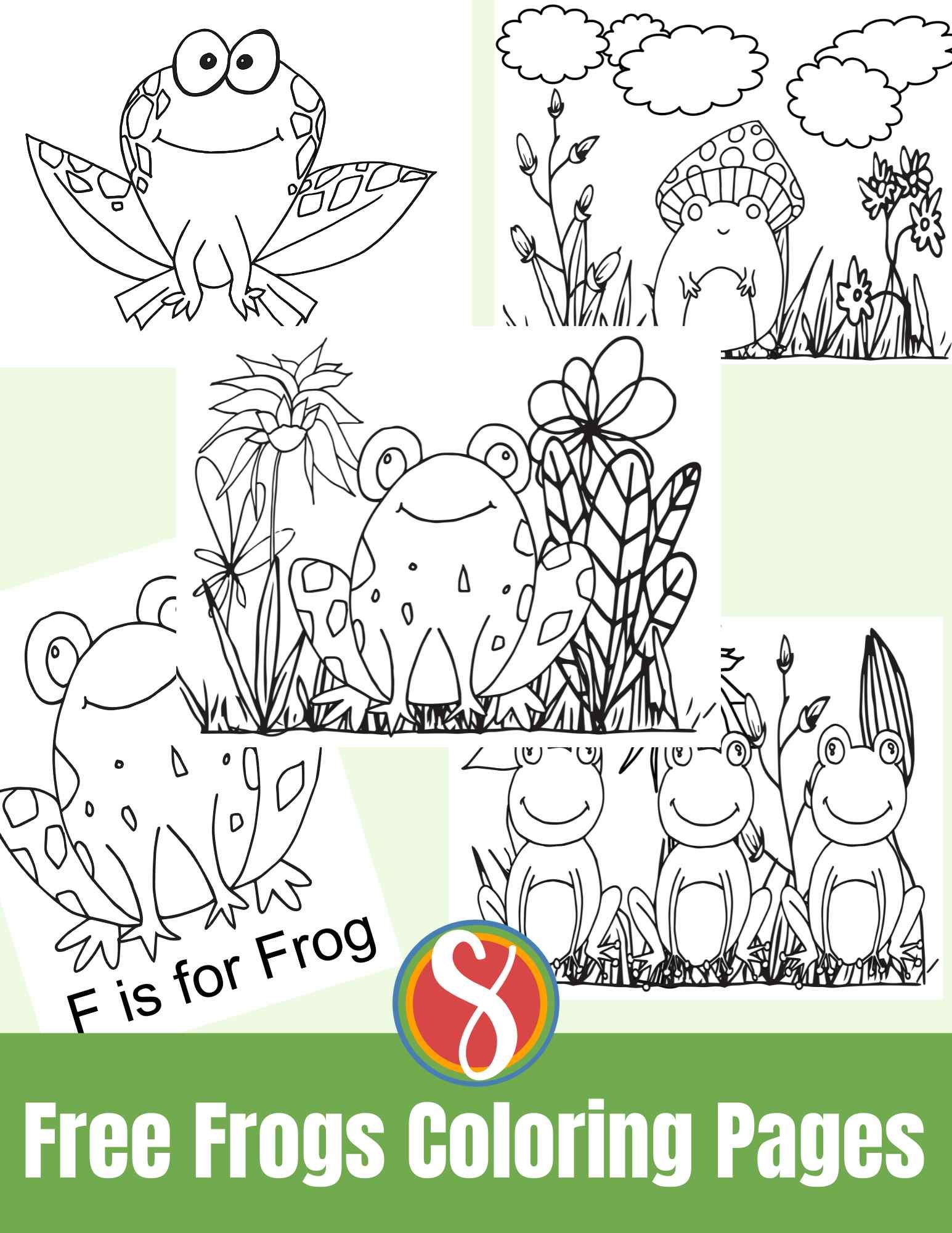 Free frog coloring pages â stevie doodles