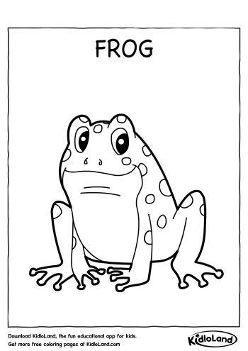 Download free frog coloring page and educational activity worksheets for kids