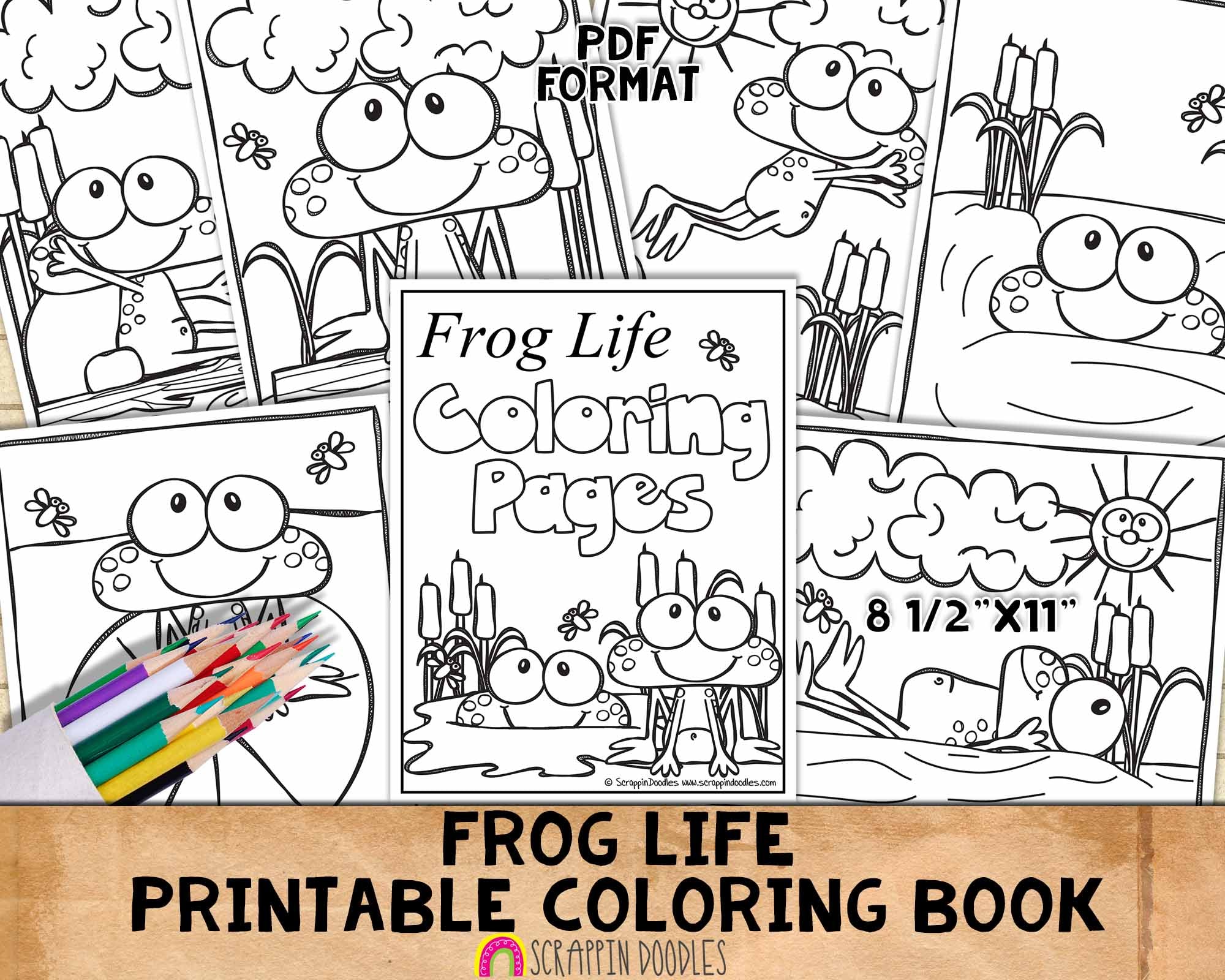 Frog life coloring book