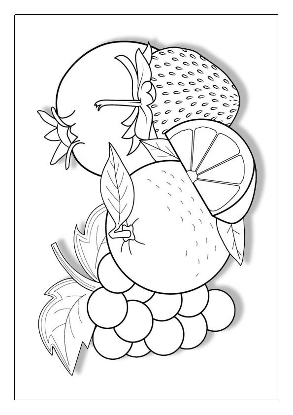 Fruit coloring pages printable coloring sheets