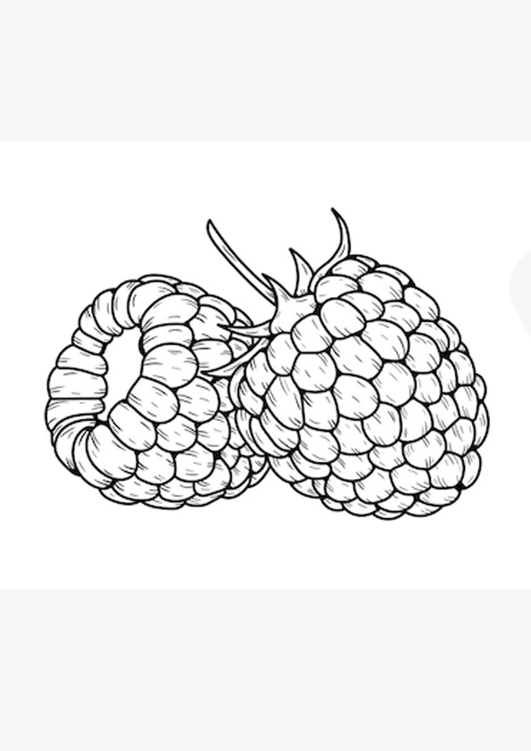 Coloring pages raspberry fruits coloring pages printable